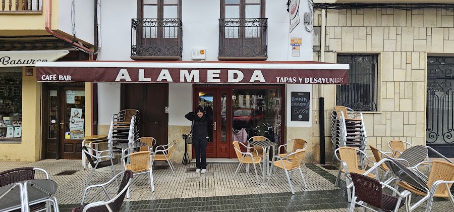 Bar Alameda