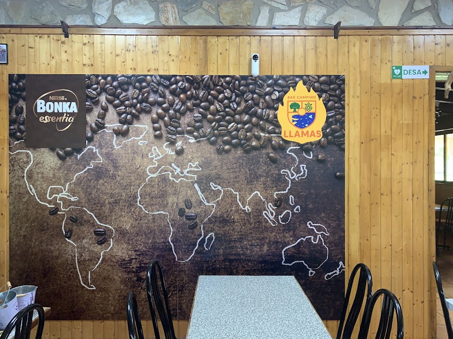 Bar Camping Llamas