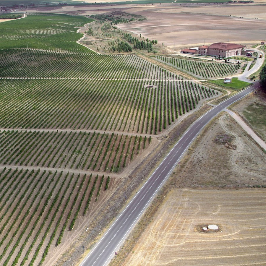 Castelo de Medina - bodegas