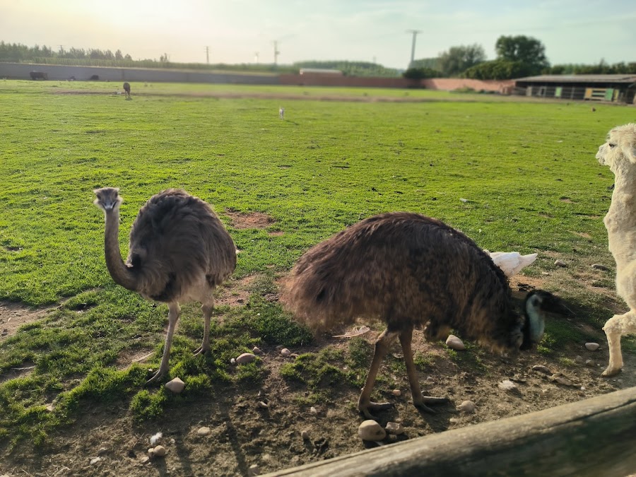 Los Reales Granja Escuela