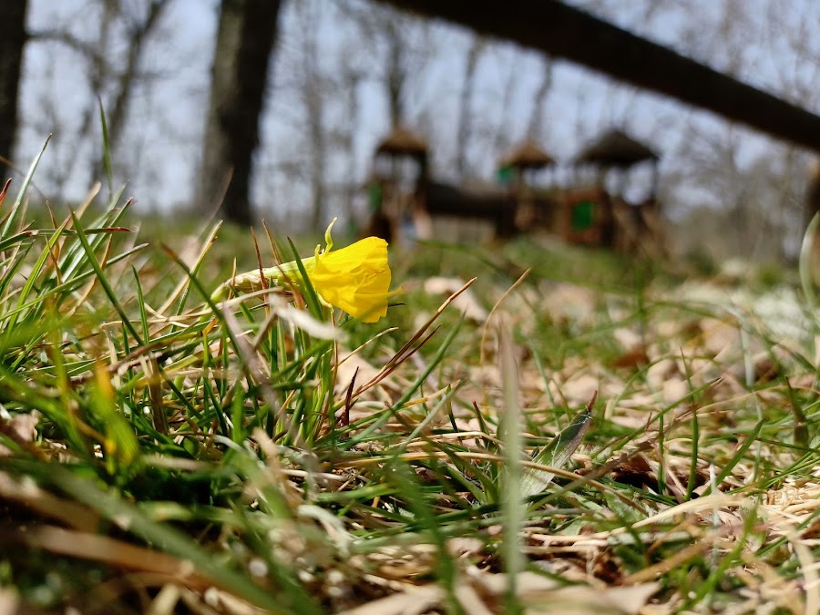 Merendero Nava de Francia, La Mata.