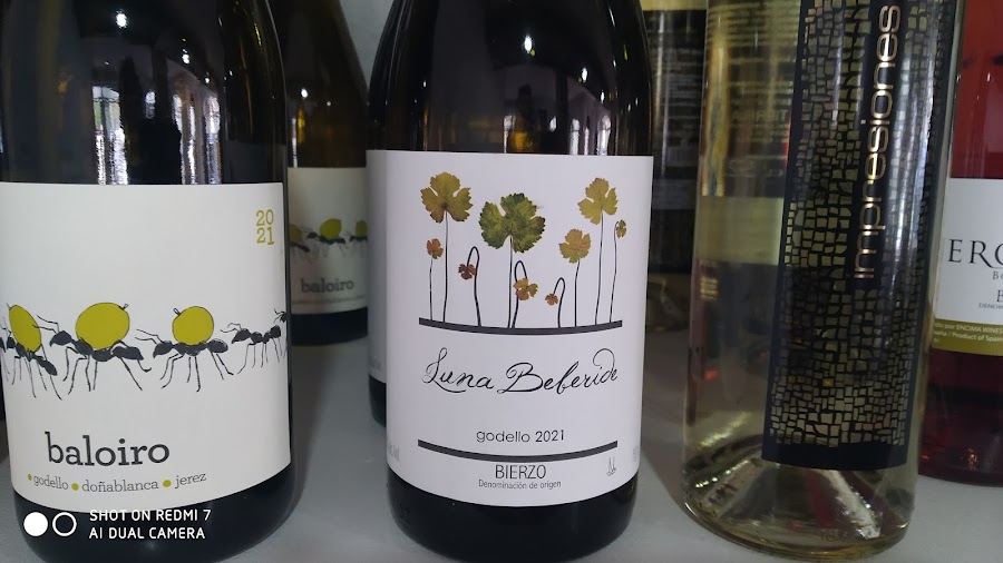 NO TE PEINES QUE NO TE VIENES