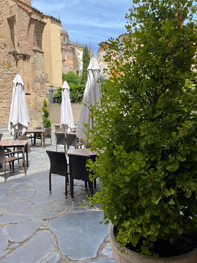 Restaurante Kúpula Salamanca