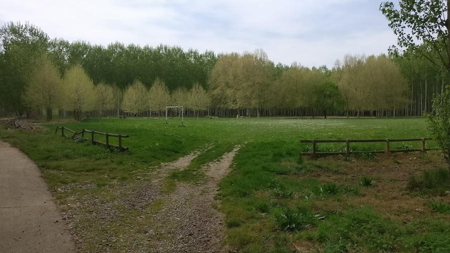 Teleclub Bar El Edén