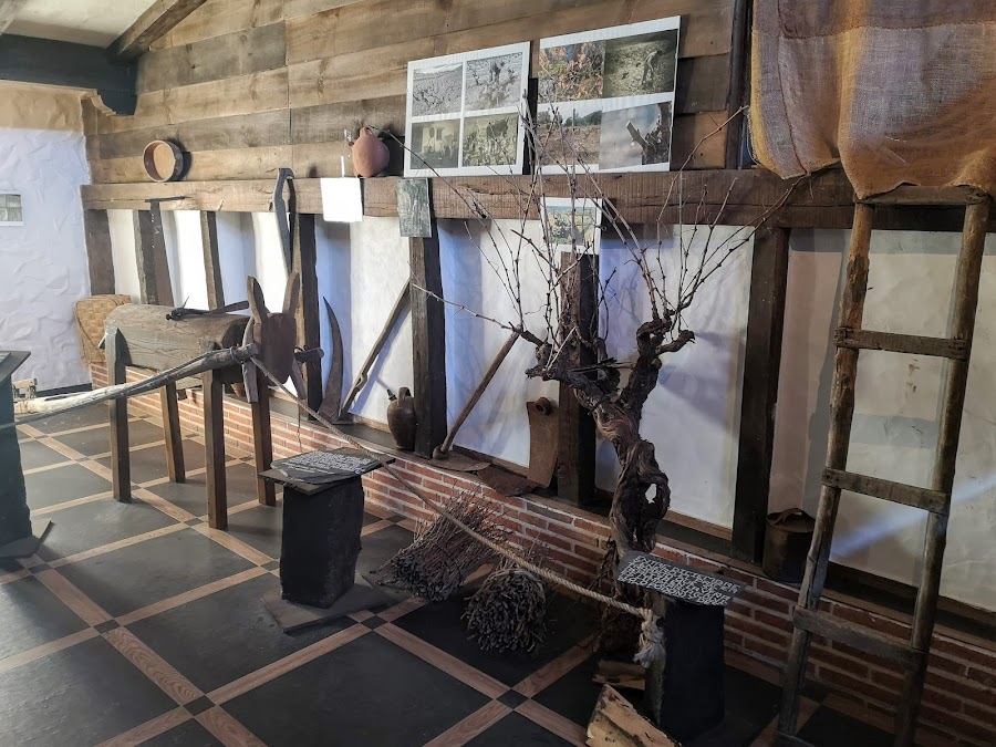 Bodegas 4ª Generación
