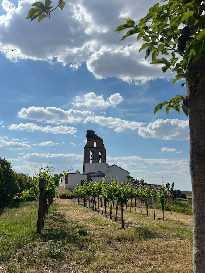 Bodegas Caserío de Dueñas