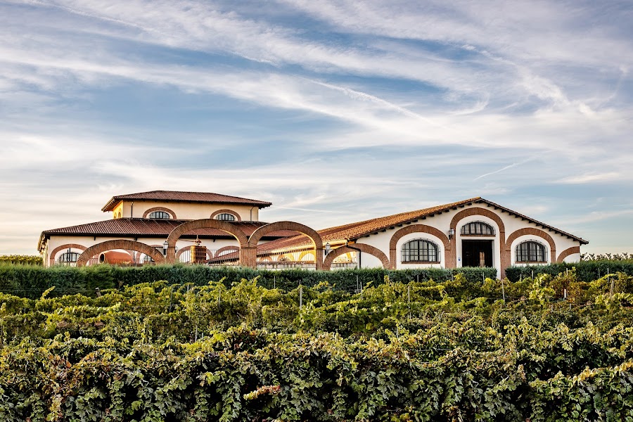 Bodegas Fariña