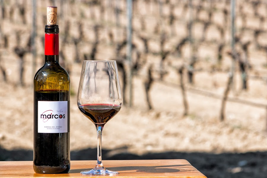 Bodegas Marcos