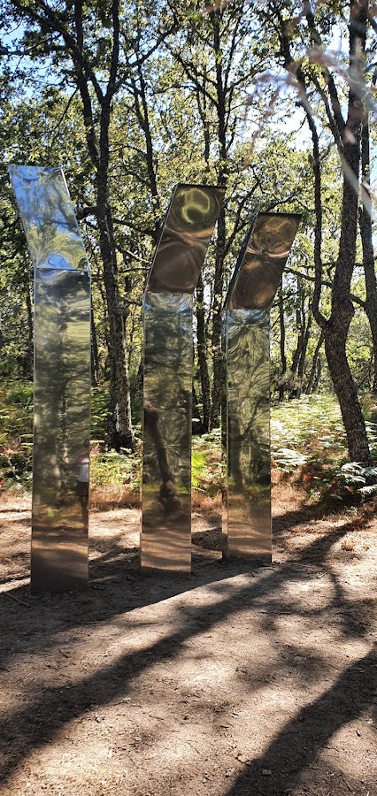 Camino de las Raíces