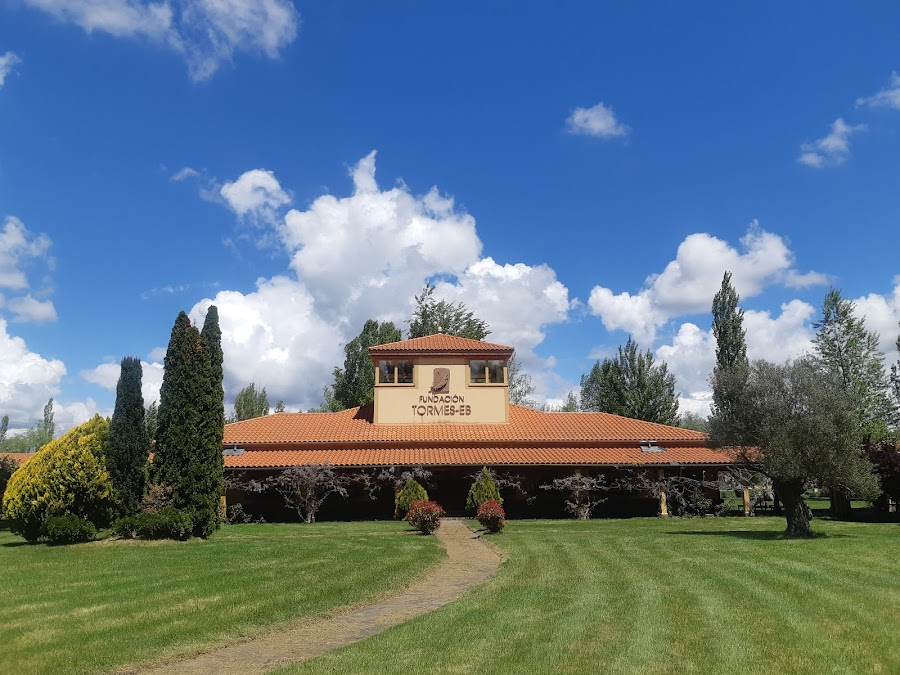 Eco - Albergue Fundación Tormes ARTE EMBOSCADO (BOSQUE ENCANTADO)