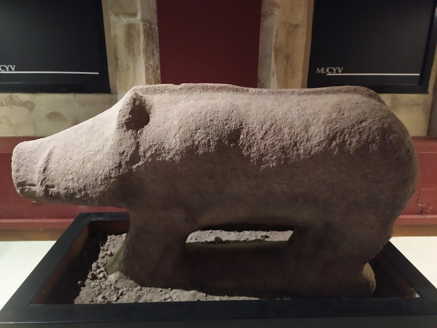 Museo del Castro de Yecla