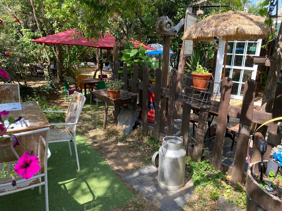 Salomé Restaurante